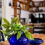 Cecile's Central, Gastro Str, Wifi, 2 Bed And 2 Bathrooms *